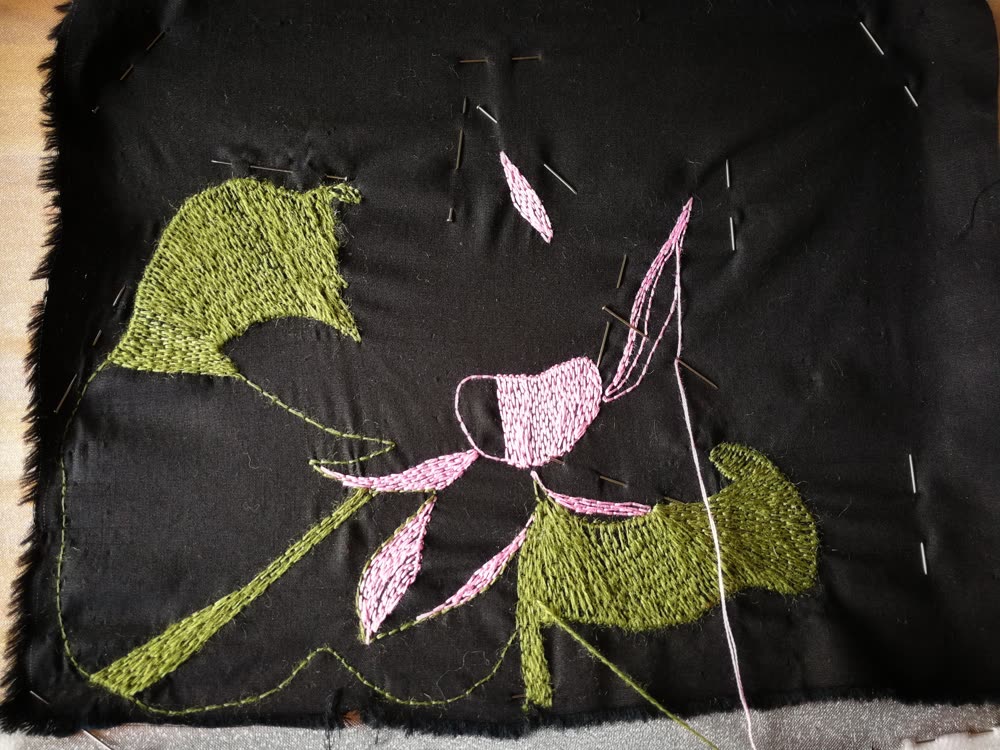 Pink lotus petals starting